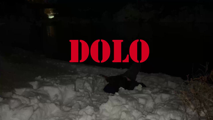 The Dolo Video